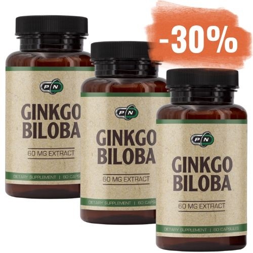 3x 60 kapsul Pure Nutrition Ginkgo Biloba 60 mg